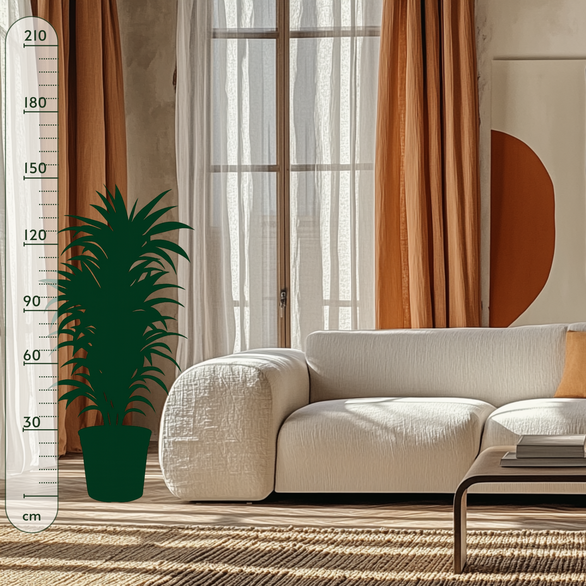 Drachenbaum Lemon Lime - Dracaena Lemon Lime - 150 cm - ø30 - Luna's Leaf Co. 