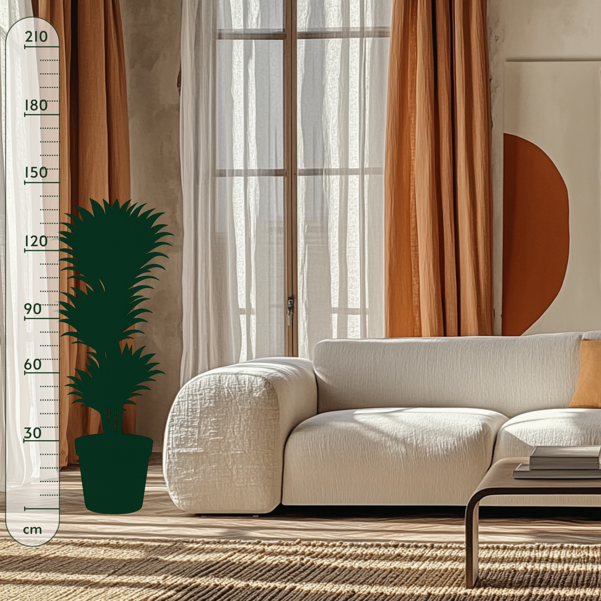 Drachenbaum Compacta vertakt – Dracaena fragrans 'Compacta' - 140 cm - ø31 - Luna's Leaf Co. 