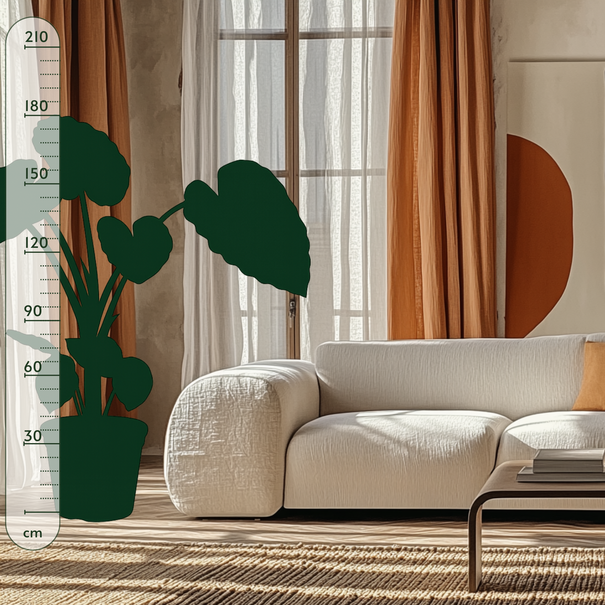 Pfeilblatt Portodora mit Stamm – Alocasia portodora - 180cm - Ø40 cm - Luna's Leaf Co. 