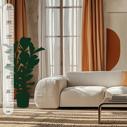 Geigenfeige buschig – Ficus lyrata - 155 cm - Ø27 - Luna's Leaf Co. 
