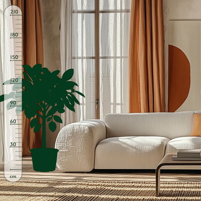 Ficus Robusta mit Stamm – Ficus elastica 'Robusta' - 140 cm - Ø27cm - Luna's Leaf Co. 