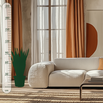 Bogenhanf – Sansevieria zeylanica - 110 cm - ø35 - Luna's Leaf Co. 