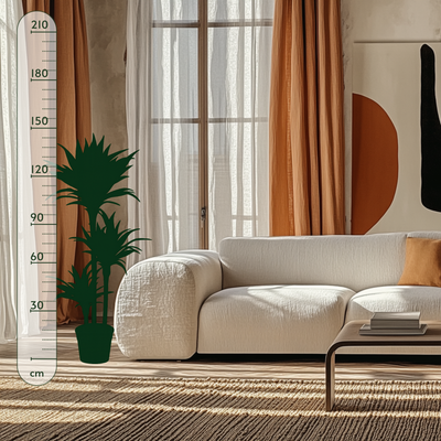 Drachenbaum White Stripe – Dracaena fragrans 'White Stripe' - 150 cm - ø24 - Luna's Leaf Co. 