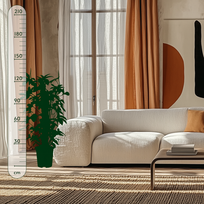 Eichenblatt-Philodendron – Philodendron pedatum - 130cm - Ø27cm - Luna's Leaf Co. 