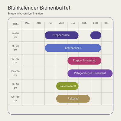 Blühkalender Staudenbeet Bienenbuffet