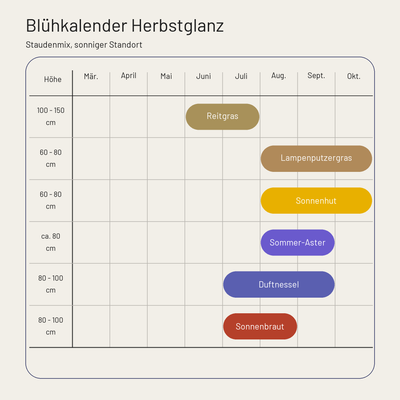 Blühkalender Staudenbeet Herbstglanz