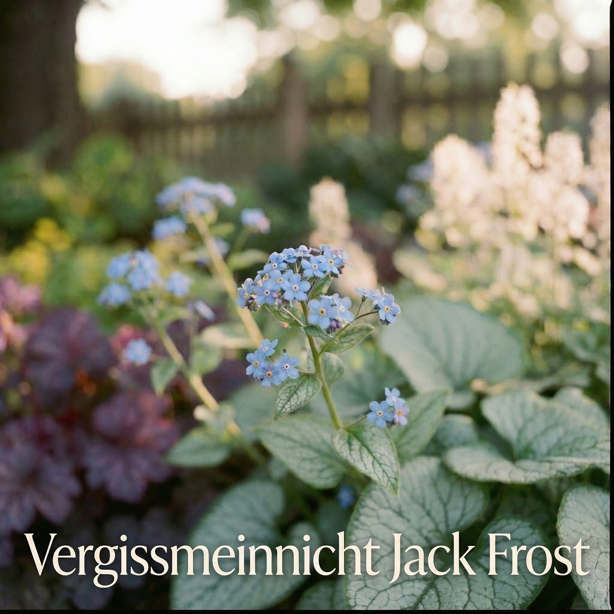 Staudenbeet Waldgarten - Pflanzenpaket für Schatten - 36 Pflanzen - Größe L - Luna's Leaf Co. 