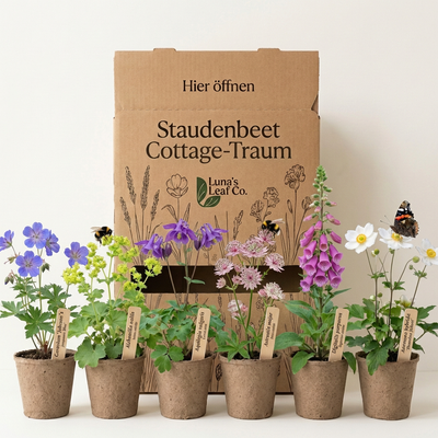 Staudenbeet Cottage-Traum - Pflanzenpaket für Halbschatten - 72 Pflanzen - Größe XL - Luna's Leaf Co. 