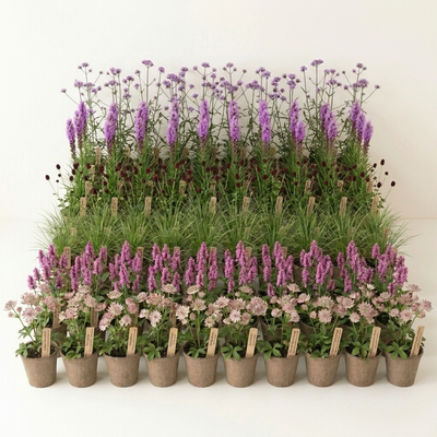 Staudenbeet Heimische Wildstauden XL - Pflanzenpaket für Sonne bis Halbschatten - 72 Pflanzen - Größe XL