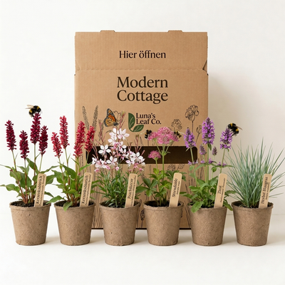 Staudenbeet Modern Cottage XL - Pflanzenpaket für Sonne bis Halbschatten - 72 Pflanzen - Größe XL