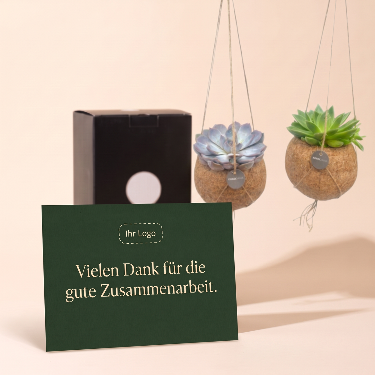 Kokodama Echeveria hängend 2er-Set Firmengeschenk: Personalisierbare Grußkarte mit Firmenlogo