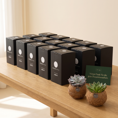 Kokodama Echeveria stehend 2er-Set Firmengeschenk: Größere Firmenbestellung mit Geschenkboxen