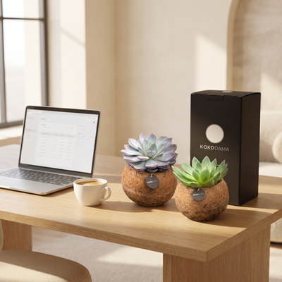 Kokodama Echeveria stehend 2er-Set Firmengeschenk: Firmengeschenk in einem modernen Büro