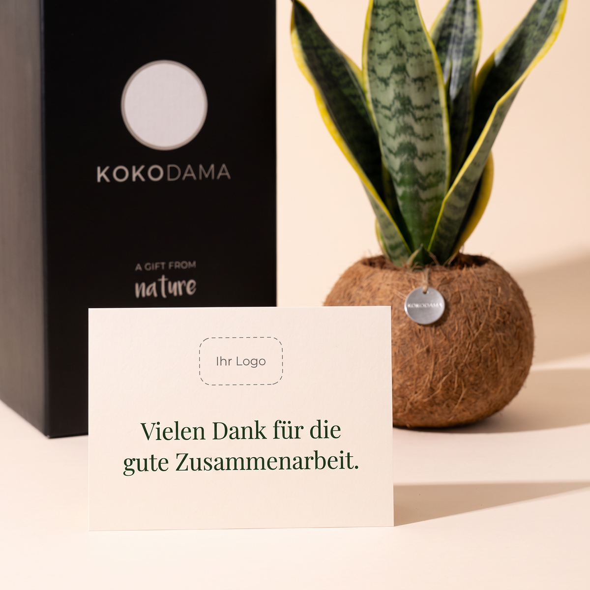 Persönliche Grußkarte mit Firmenlogo zum Kokodama Firmengeschenk