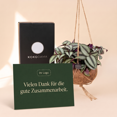 Personalisierbare Grußkarte mit Firmenlogo zum Kokodama Tradescantia Firmengeschenk