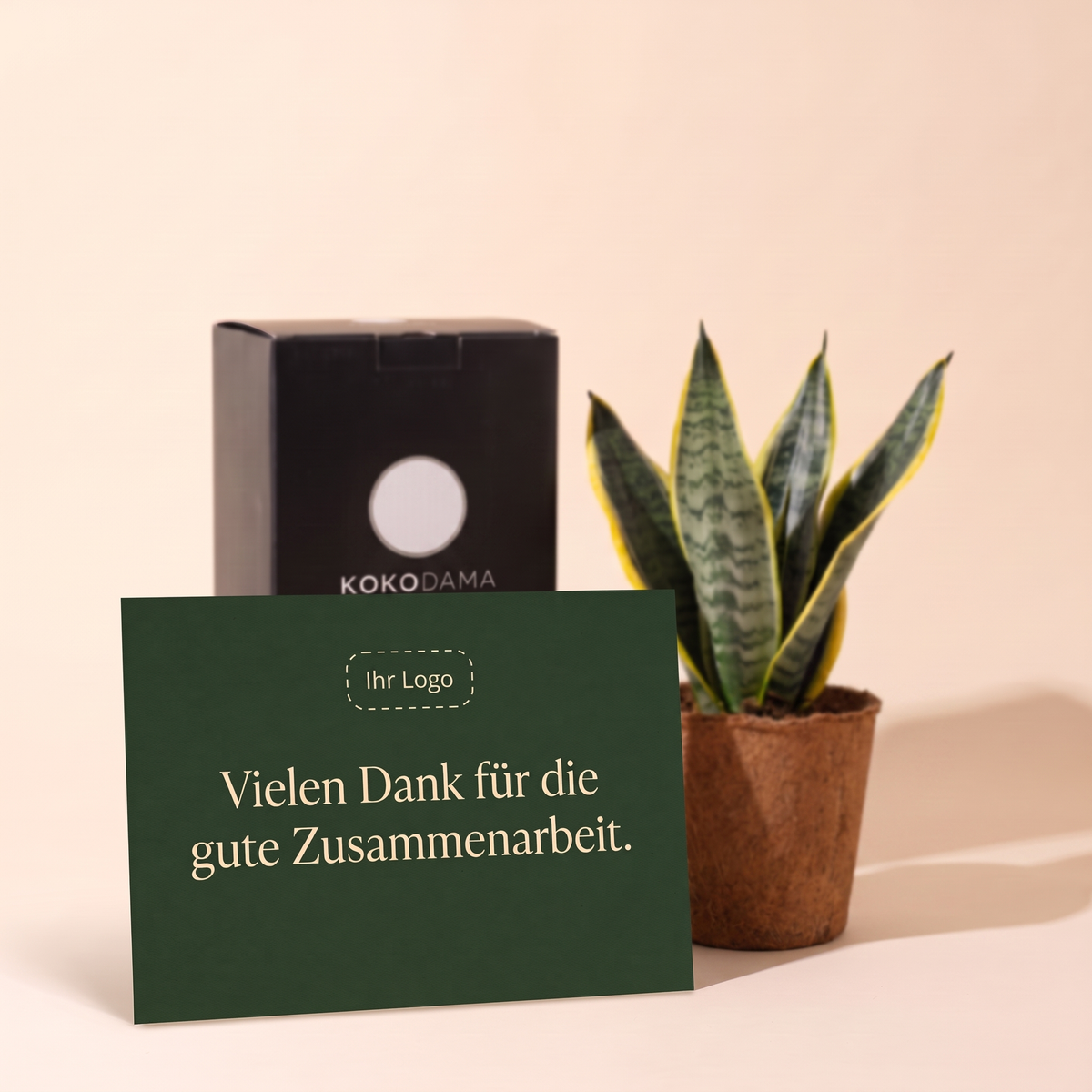 Kokopot Sansevieria Yellow Firmengeschenk: Personalisierbare Grußkarte mit Firmenlogo