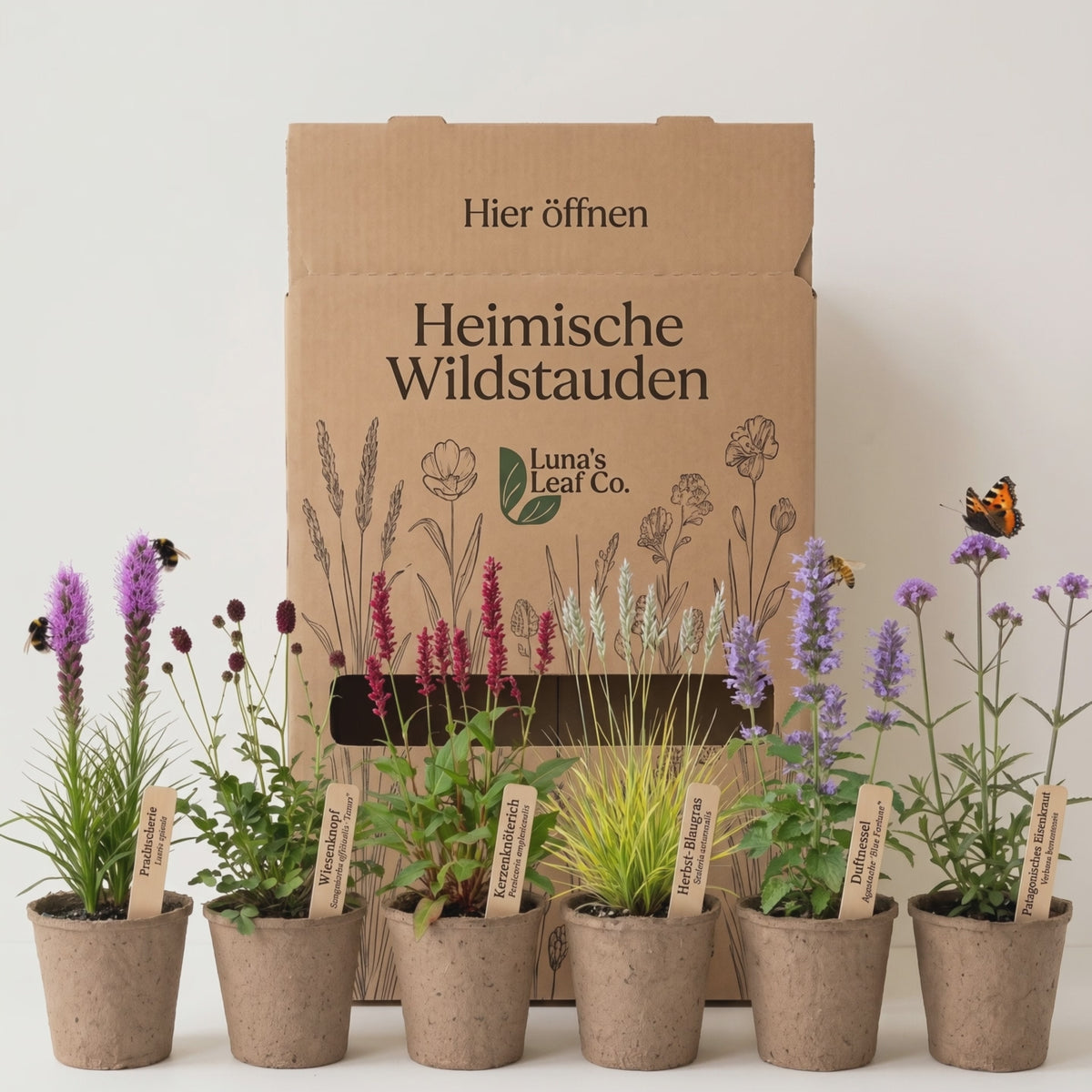 Video Pflanzenpaket Heimische Wildstauden mit Bienen und Schmetterling