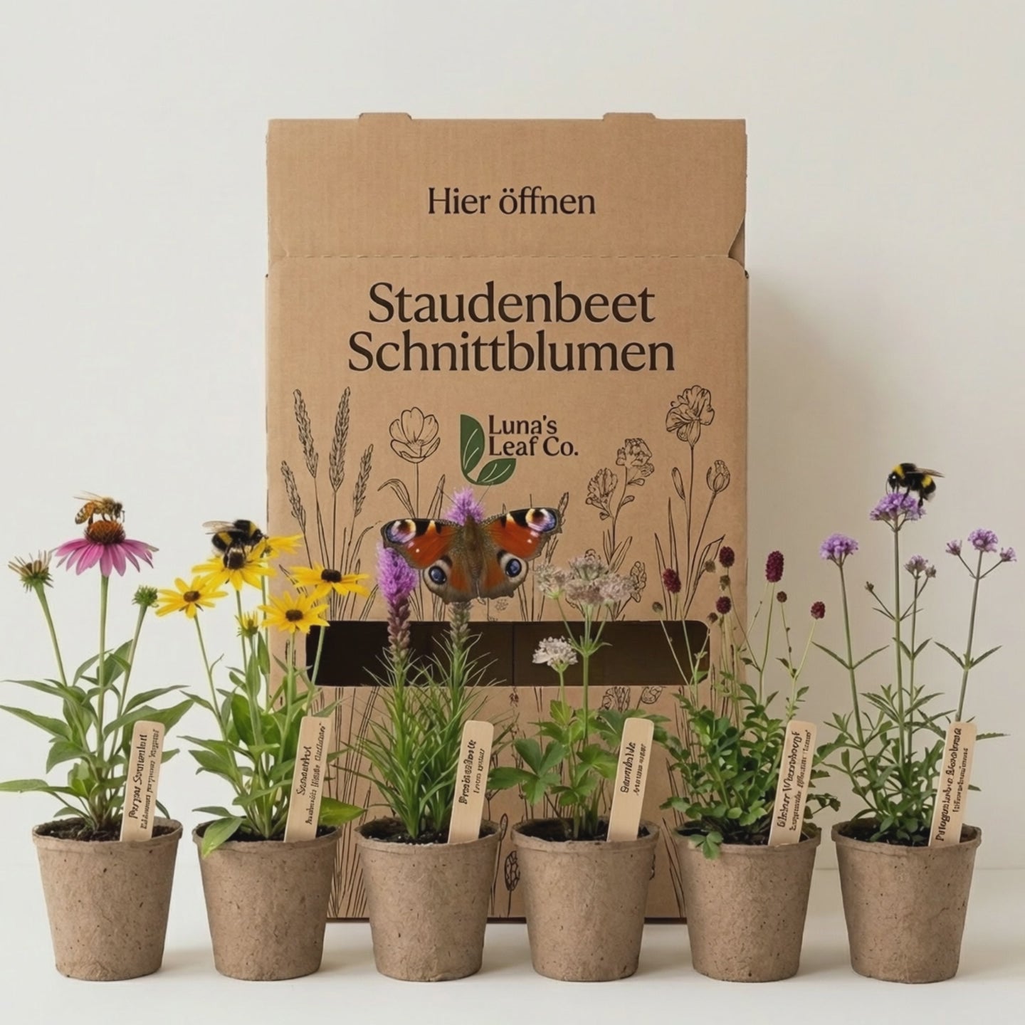 Video laden: Staudenbeet Schnittblumen Beet - Pflanzenpaket für Sonne - 36 Pflanzen - Größe L