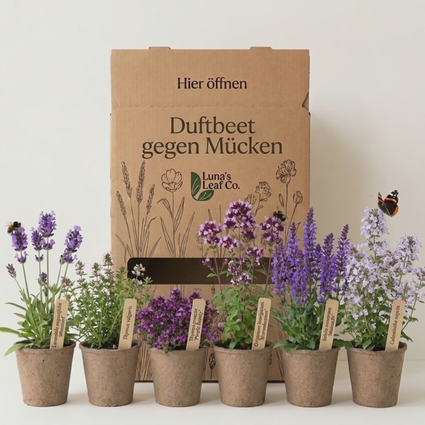 Video laden: Staudenbeet Duftbeet gegen Mücken XL - Pflanzenpaket für Sonne - 72 Pflanzen - Größe XL