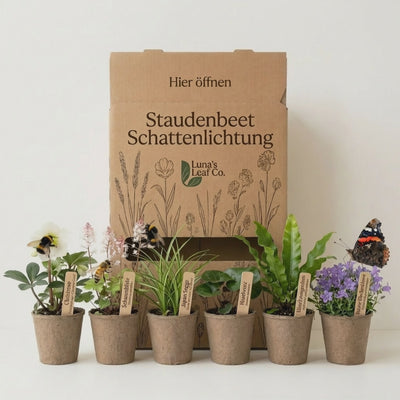 Staudenbeet Schattenlichtung - Pflanzenpaket für Schatten - 36 Pflanzen - Größe L