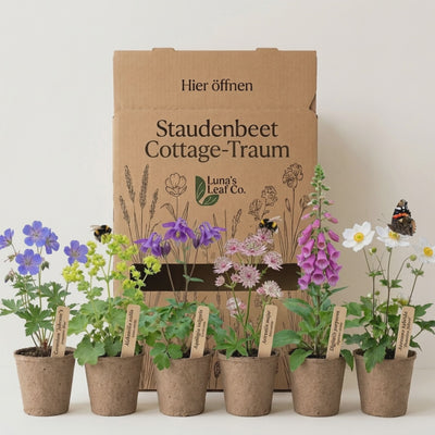 Staudenbeet Cottage-Traum - Pflanzenpaket für Halbschatten - 72 Pflanzen - Größe XL