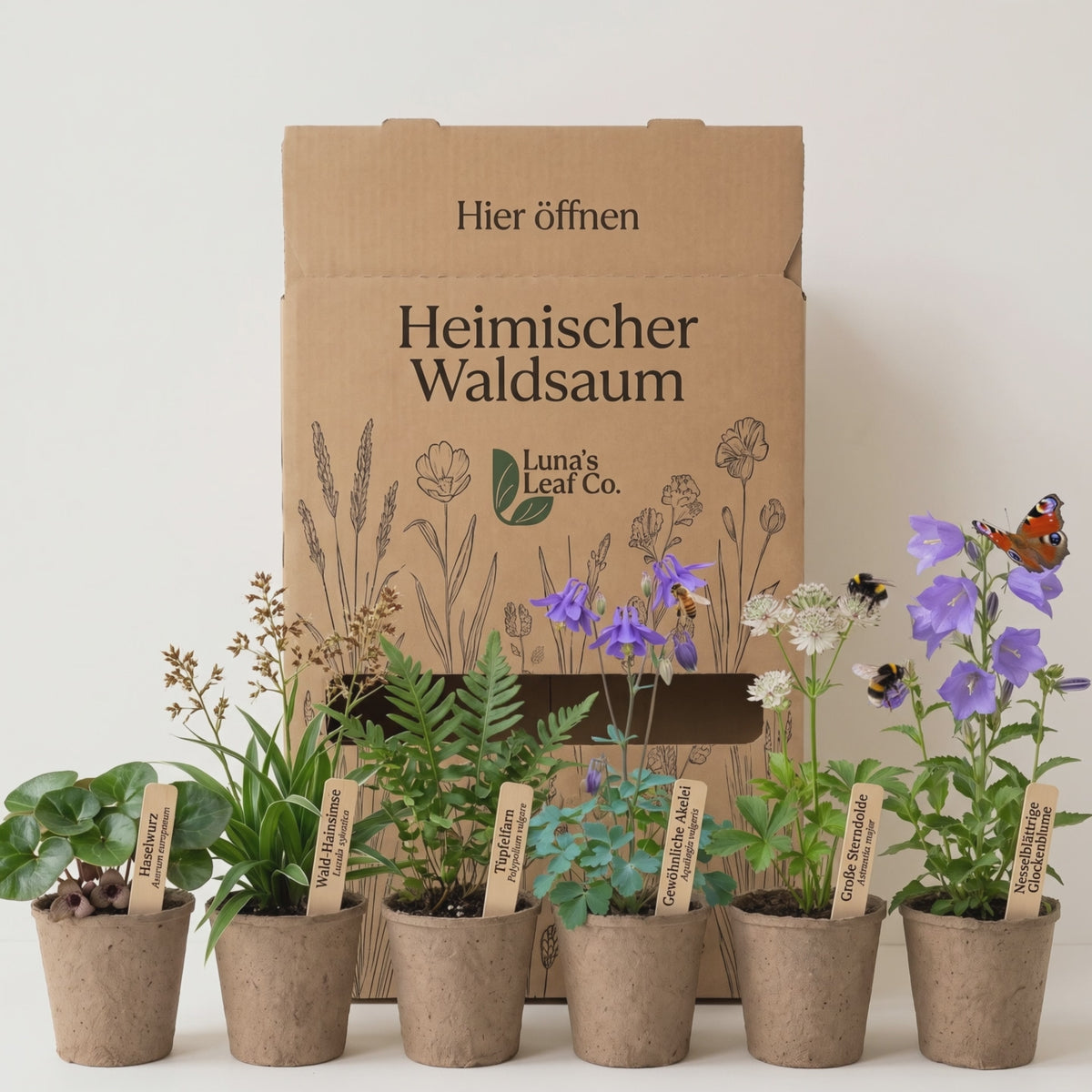 Staudenbeet Heimischer Waldsaum - 72 Pflanzen - Größe XL