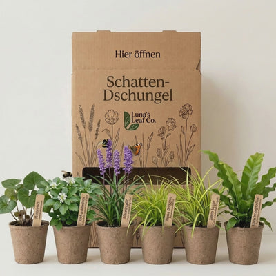 Staudenbeet Schatten-Dschungel - Pflanzenpaket für Schatten - 36 Pflanzen - Größe L