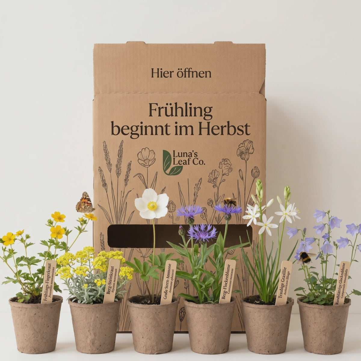 Staudenbeet Frühling beginnt im Herbst - 36 Pflanzen - Größe L