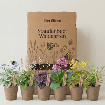 Staudenbeet Waldgarten - Pflanzenpaket für Schatten - 36 Pflanzen - Größe L
