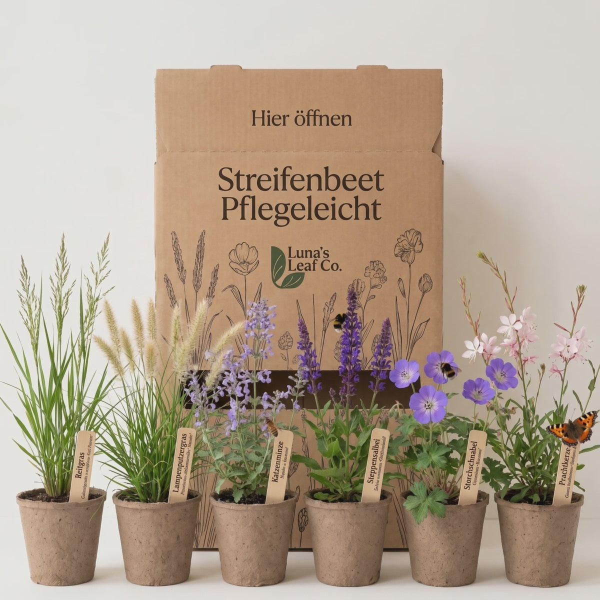 Video Pflanzenpaket Streifenbeet Pflegeleicht mit Bienen und Schmetterling