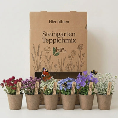 Staudenbeet Steingarten-Teppich XL - Pflanzenpaket für Sonne - 72 Pflanzen - Größe XL