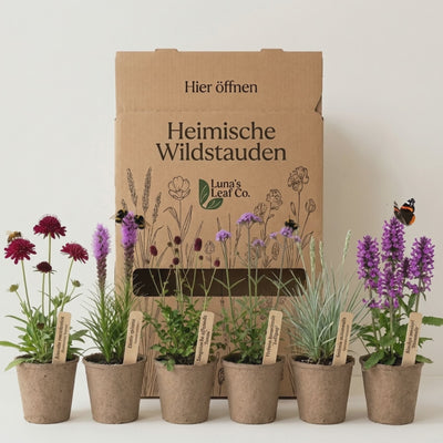 Staudenbeet Heimische Wildstauden - Pflanzenpaket für Sonne bis Halbschatten - 36 Pflanzen - Größe L