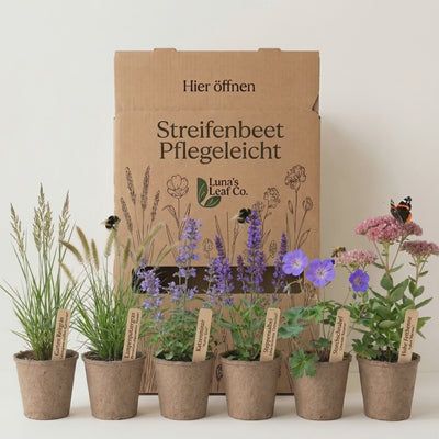 Staudenbeet Streifenbeet Pflegeleicht - Pflanzenpaket für Sonne bis Halbschatten - 36 Pflanzen - Größe L