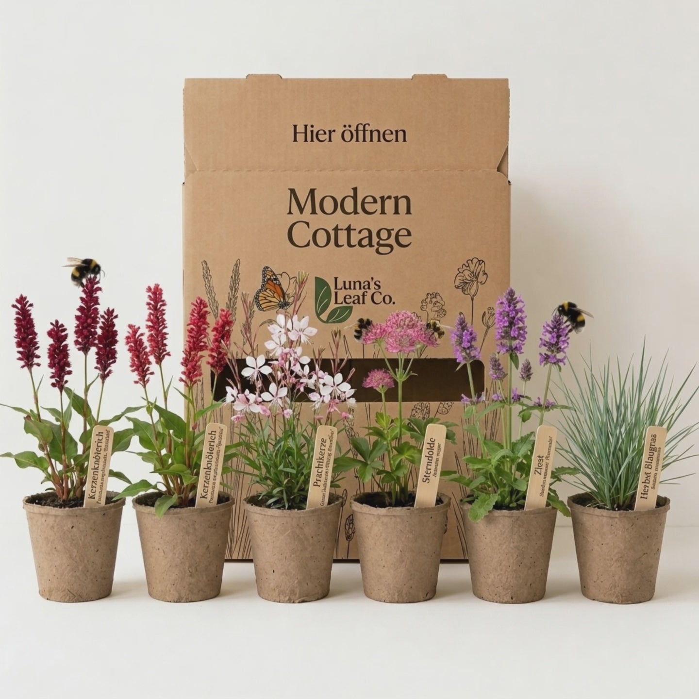 Video laden: Staudenbeet Modern Cottage - Pflanzenpaket für Sonne bis Halbschatten - 36 Pflanzen - Größe L