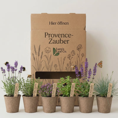 Staudenbeet Provence-Zauber - Pflanzenpaket für Sonne - 36 Pflanzen - Größe L