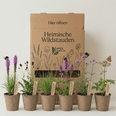 Staudenbeet Heimische Wildstauden - Pflanzenpaket für Sonne bis Halbschatten - 36 Pflanzen - Größe L