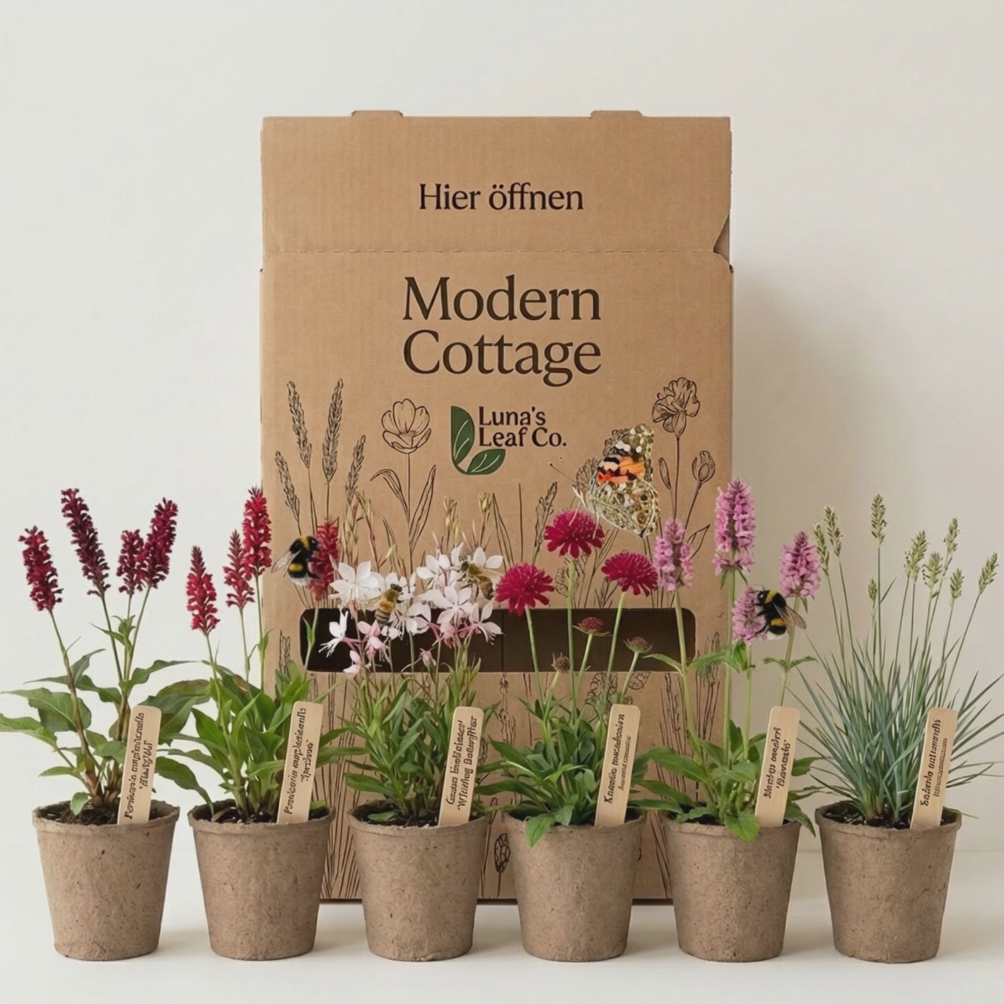 Video laden: Staudenbeet Modern Cottage XL - Pflanzenpaket für Sonne bis Halbschatten - 72 Pflanzen - Größe XL