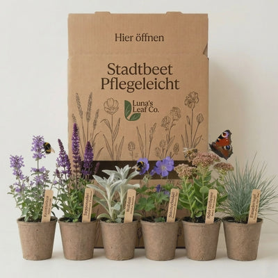 Staudenbeet Stadtbeet Pflegeleicht - Pflanzenpaket für Sonne bis Halbschatten - 36 Pflanzen - Größe L