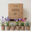 Video Pflanzenpaket Stadtbeet Pflegeleicht mit Bienen und Schmetterling