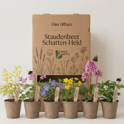 Staudenbeet Schatten-Held - Pflanzenpaket für Schatten - 36 Pflanzen - Größe L