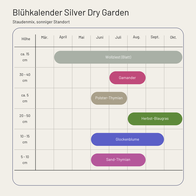 Blühkalender Staudenbeet Silver Dry Garden