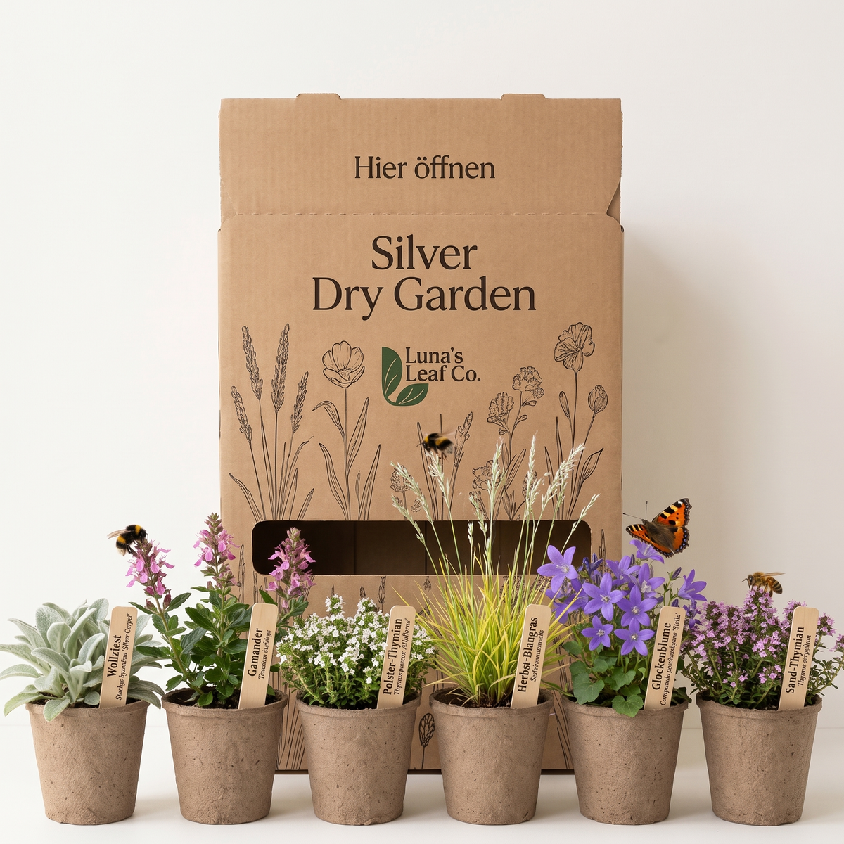 Pflanzenpaket Silver Dry Garden mit Versandbox und Jungpflanzen