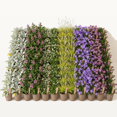 Pflanzenpaket Silver Dry Garden XL mit 72 Stauden