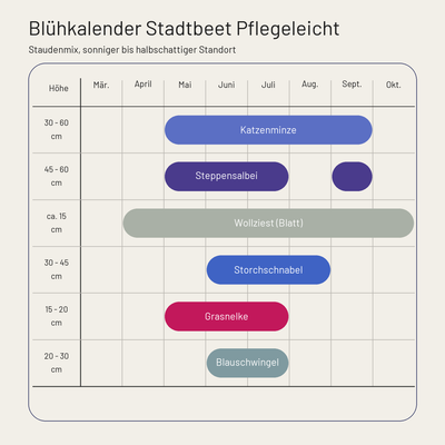 Blühkalender Staudenbeet Stadtbeet Pflegeleicht