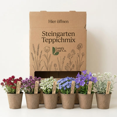 Staudenbeet Steingarten-Teppich - Pflanzenpaket für Sonne - 36 Pflanzen - Größe L