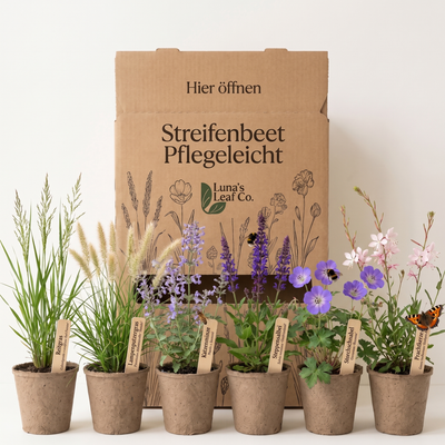 Pflanzenpaket Streifenbeet Pflegeleicht mit Versandbox und Jungpflanzen
