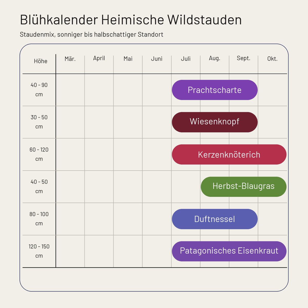 Blühkalender Staudenbeet Heimische Wildstauden